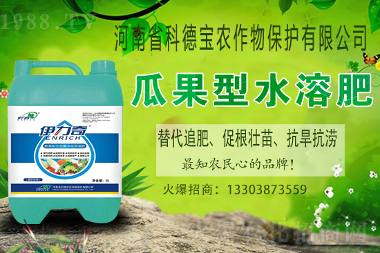 �����M��Ě��ʲô�r�����������������x�M��Ě����