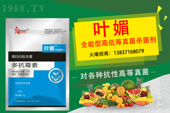 辣椒病害嚴(yán)重太難纏，如何輕松解決？