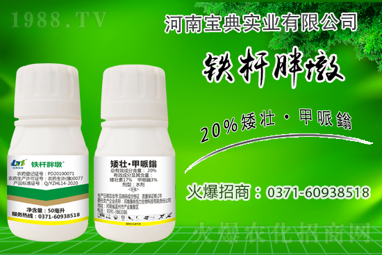 小麥冬前旺長有什么危害？采取什么措施能有效防徒長？