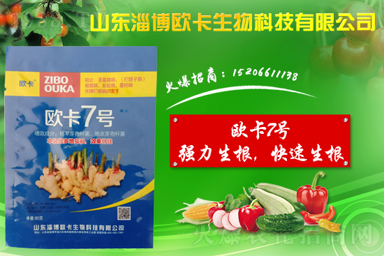 大姜爛脖子病是什么?。看蠼獱€脖子病用什么藥好防治