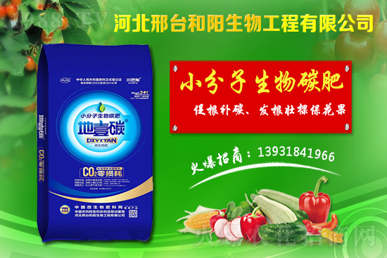 ����(ji��)ǰС���r��������q������С���r�����飡