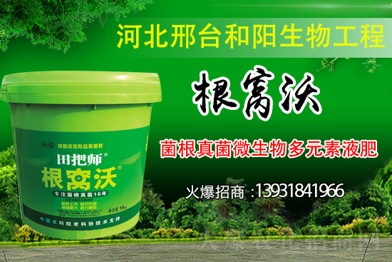 哪些病害屬于土傳病害？采取什么措施可以防治？