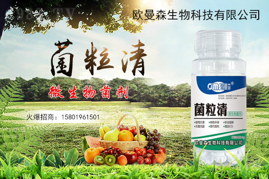 低溫辣椒“灰霉病”易發(fā)生，如何識別與防治辣椒灰霉病