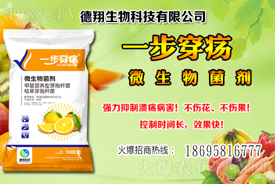 國(guó)產(chǎn)大豆價(jià)格穩(wěn)中有跌！2020-12-21黑龍江及部分地區(qū)大豆行情！