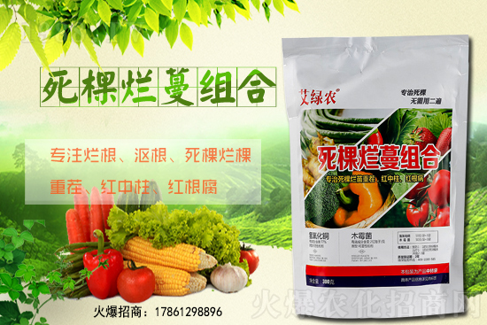 柑橘施肥在什么時間適宜？柑橘樹冬季該怎么管理？