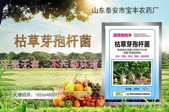 枯草芽孢桿菌能解決作物哪些問題？枯草芽孢桿菌在農(nóng)作物上的應用！