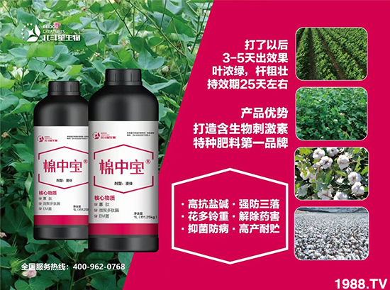 特種肥為什么這么火？有什么特點之處？