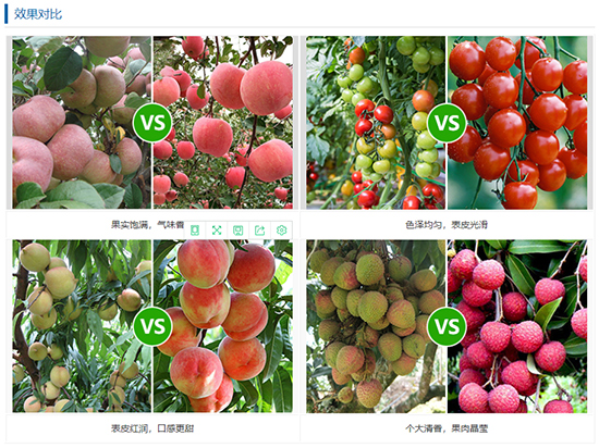 平衡型大量元素水溶肥19-19-19-科賽德-農(nóng)富天下5