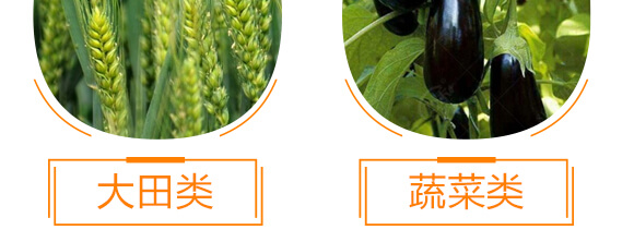 有機(jī)水溶肥料-多肽氮肥-一畫農(nóng)業(yè)_11