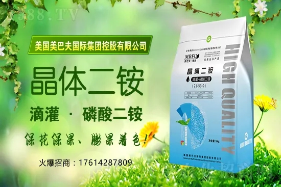 冬季茄果蔬菜蘸花如何避免藥害發(fā)生？蔬菜蘸花注意哪些問題？