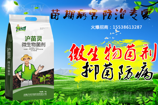 作物苗期病害“致命傷”，基本的預(yù)防方法您會(huì)了嗎？