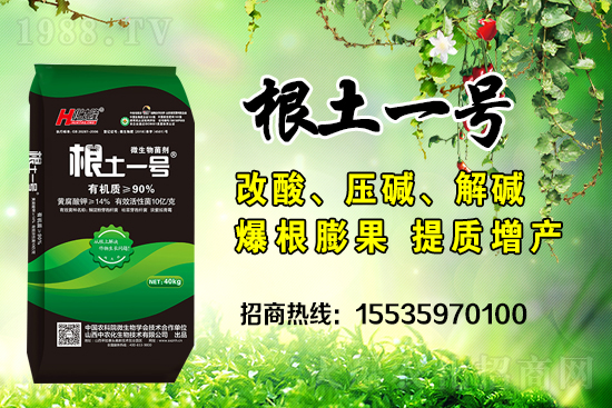     ΢��������е�΢������ʲô������΢�����������θ�����������