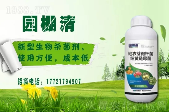 �������⛶�����Ч���Æ������������������ֲ�￹����������