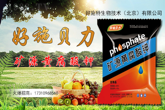 �󽪶����Xһ�����󽪷Nֲǰ������������Nֲ���g(sh��)��