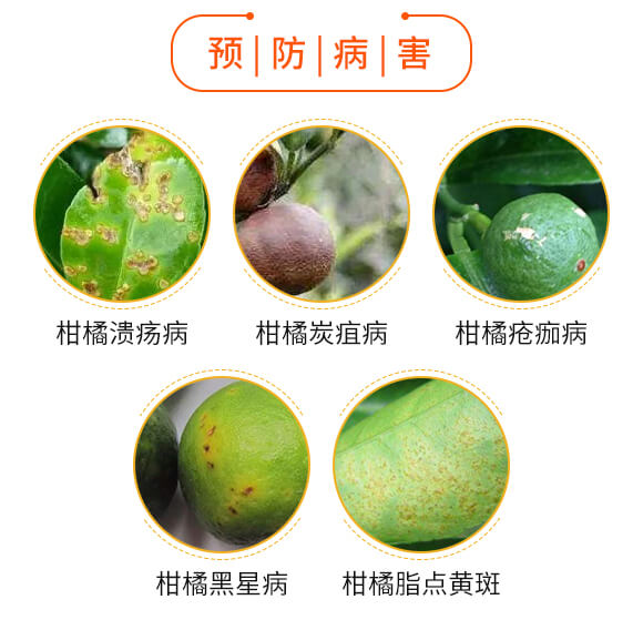 微生物菌劑-潰瘍無憂-日升生物_03