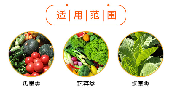 微生物菌劑-潰瘍無憂-日升生物_05