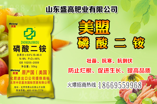 近期小麥價格還會繼續(xù)上漲嗎？12月小麥價格行情分析