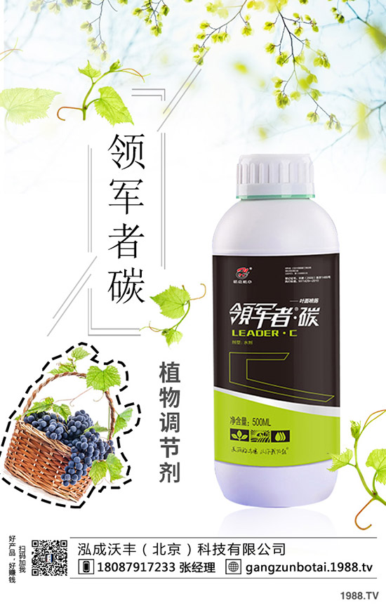 種植空心菜如何提高產(chǎn)量？這些種植方法要知道！