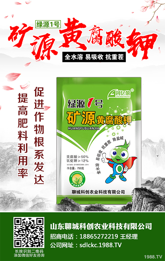 大棚番茄春季該如何澆水？大棚番茄的澆水方法(建議收藏)