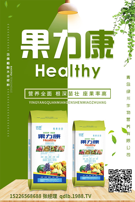 �����ĸ������g�Y���������ĸ����İl(f��)��Ҏ(gu��)�ɼ�������