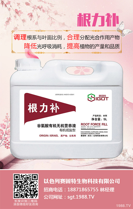 С��������Ҋ�Ĳ�������Щ��ԓ��η���������С���������η�����B