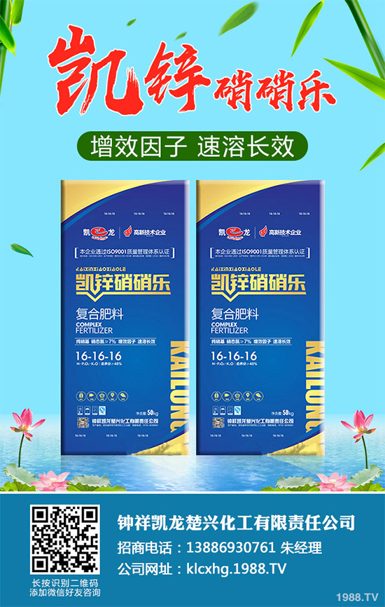 蠶豆該怎么種？蠶豆的種植技術(shù)及病害防治要點(diǎn)