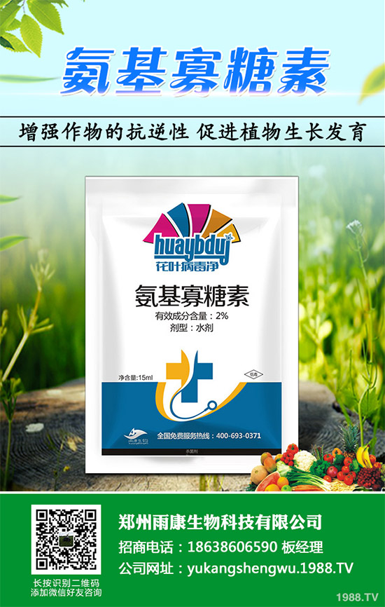 蠶豆該怎么種？蠶豆的種植技術(shù)及病害防治要點(diǎn)