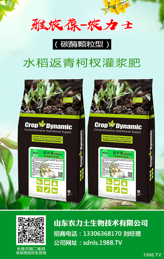     原料和成本持續(xù)上漲，復合肥貨緊價揚！最新行情走勢分析2020-3-17！