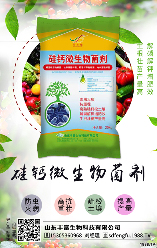 花生如何選種？花生怎么種植能高產(chǎn)？