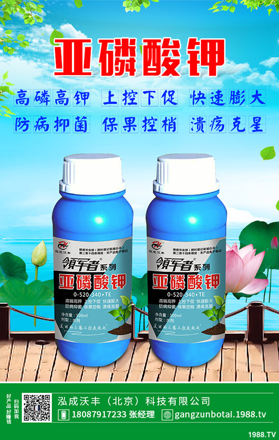 有機(jī)蔬菜與無公害蔬菜的區(qū)別，無公害蔬菜如何防蟲？