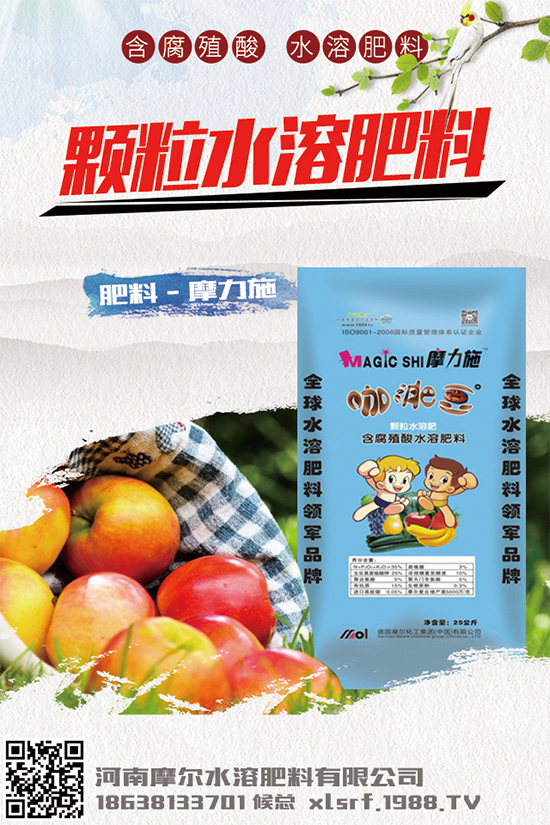 種植白術(shù)掙錢(qián)嗎？2020白術(shù)種植前景及效益分析