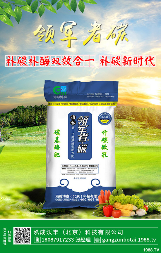 家中該如何養(yǎng)殖馬蹄蓮？養(yǎng)殖方法要點(diǎn)，花友必看！