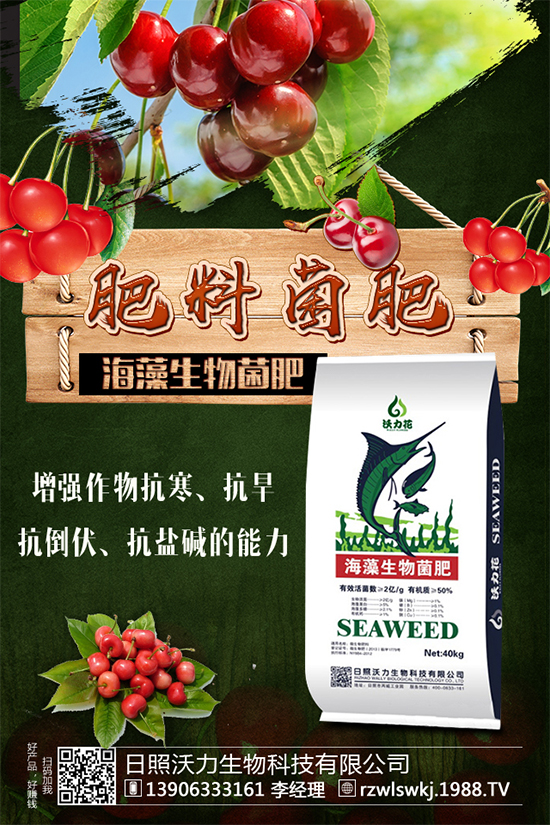 �R���Ј�ǰ����ô�����R��Nֲ����Ҫ�c����Щ����