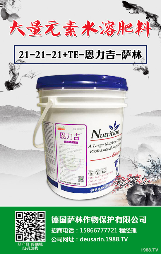 辣椒根腐病有治嗎？辣椒根腐病發(fā)病規(guī)律及防治措施！