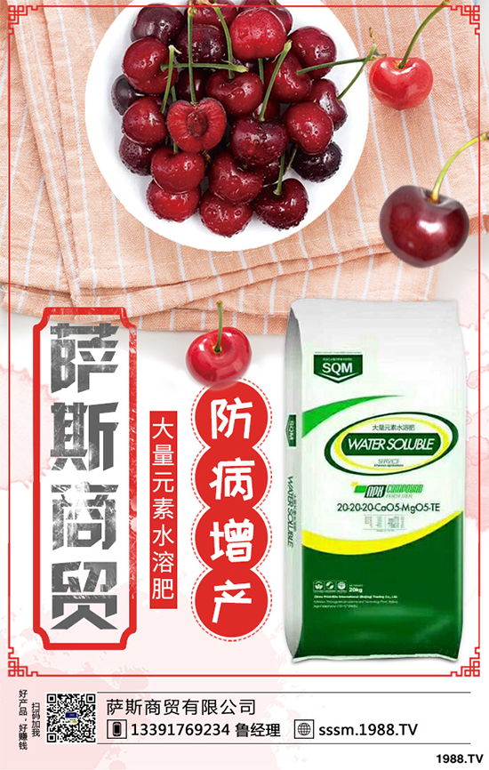 ������ԓ��ηNֲ���紺���׸߮a(ch��n)�Nֲ���gҪ�c