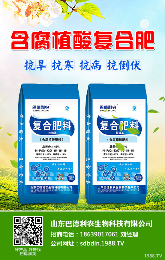 你知道春花生什么時候播種嗎？2020年春花生種植方法講解