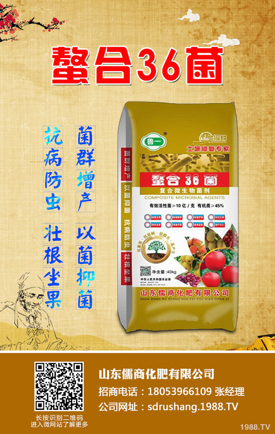     蘋果樹春季管理需要注意的12大誤區(qū)！值得你收藏！