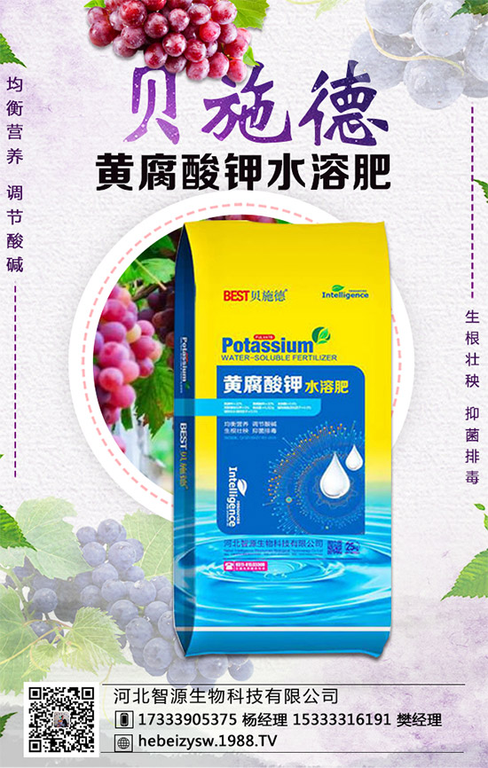 �۲˵ĠI�B(y��ng)�rֵ����Щ�������۲���ʲô��̎��