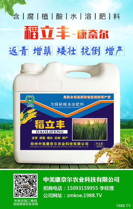 С�����·����������������ж��Ӱ���ԓ����a(b��)����С�����·��r(n��ng)��ָ��