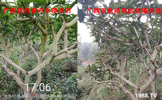 廣西百色客戶未使用時(shí)和使用后效果明顯！