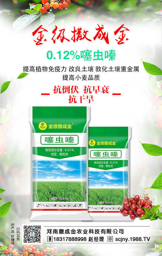 白菜畝產(chǎn)產(chǎn)量高，施肥方法有哪些？