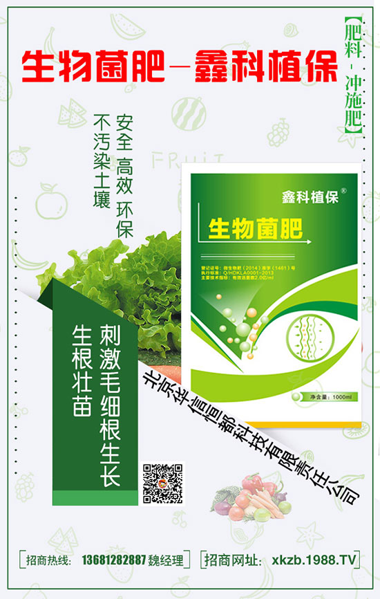 春季種植菠菜的施肥技巧以及要點！