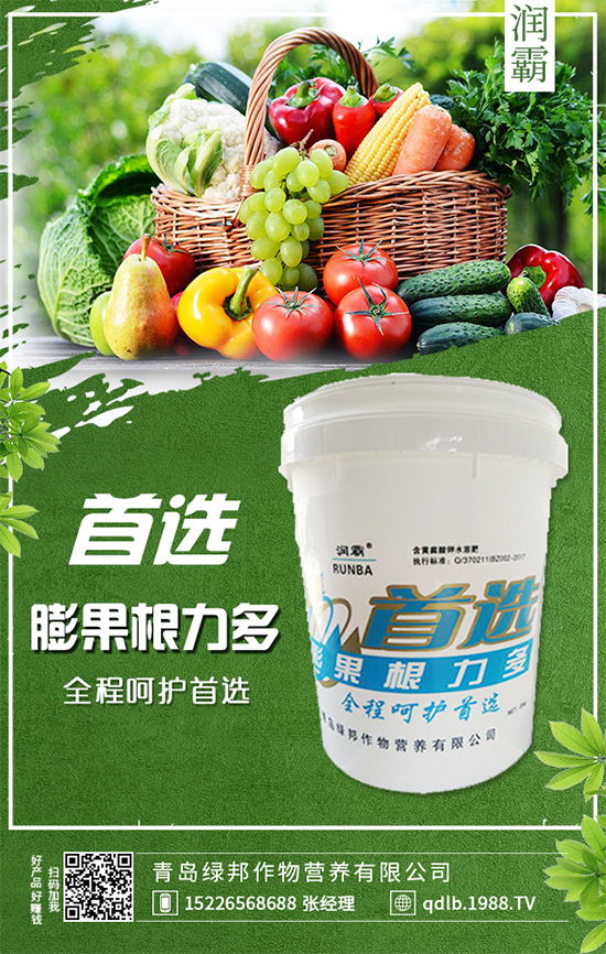 萬(wàn)年青插桿及播種要點(diǎn)，室內(nèi)萬(wàn)年青種植注意事項(xiàng)！