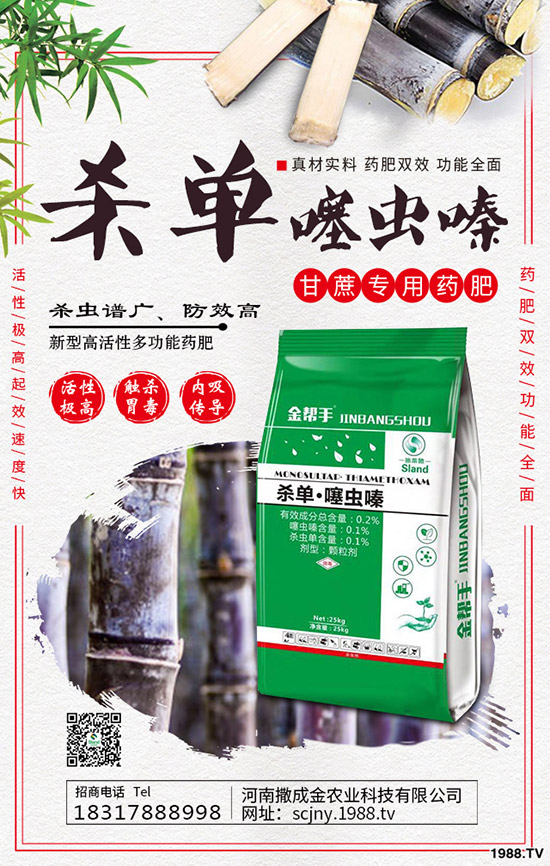 芹菜得了菌核病怎么辦？棚栽芹菜菌核病如何防治？