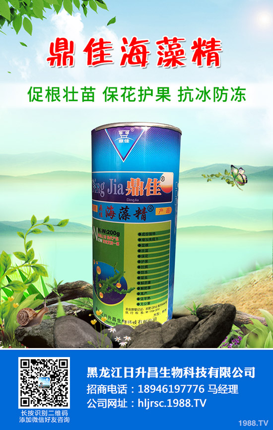 辣椒怎么育苗產(chǎn)量好，辣椒育苗技術(shù)要點！