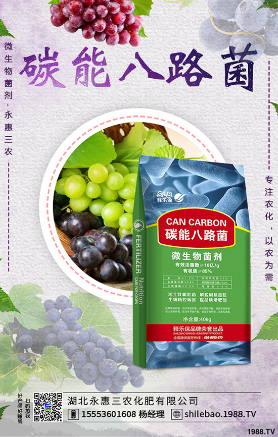 莧菜種植時(shí)間是什么時(shí)候，莧菜種植方法技術(shù)