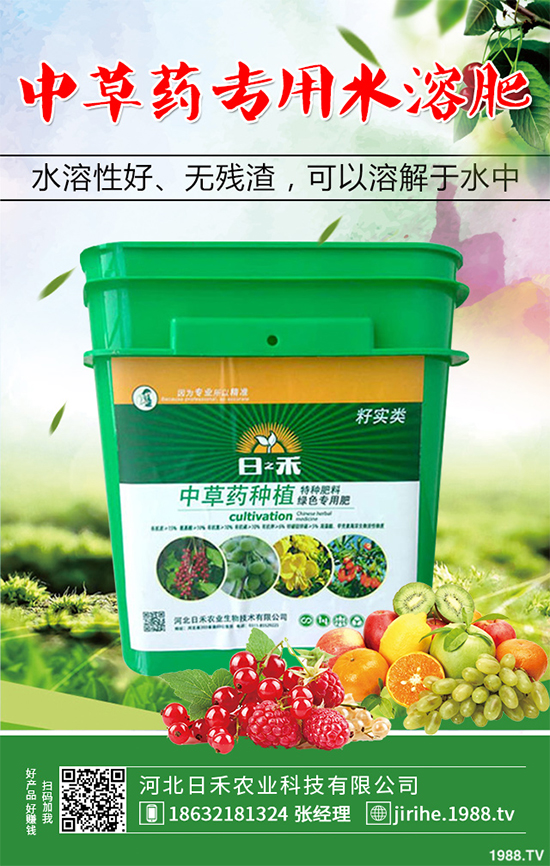 射干該怎么種植？中藥材射干的種植技術要點