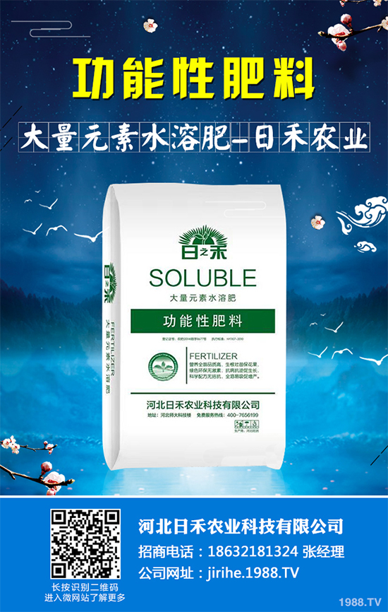 射干該怎么種植？中藥材射干的種植技術要點