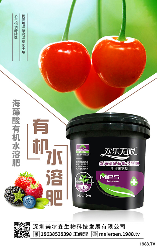 楊梅的品種有哪些？該如何栽培？春季楊梅種植技術(shù)