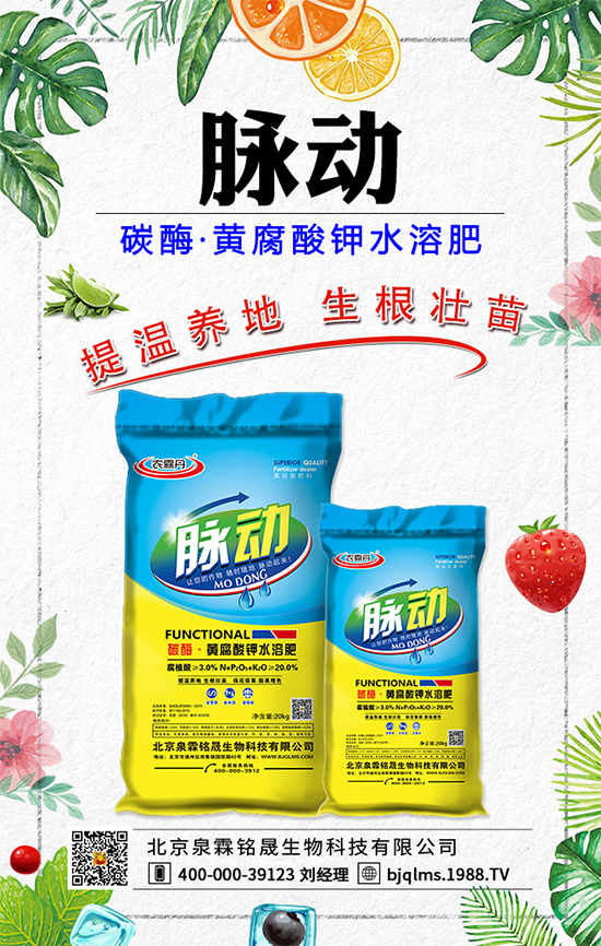 蒲公英藥用價值有哪些？蒲公英作用及功效！